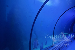 Grand-aquarium-Hurghada-Sami-Tur